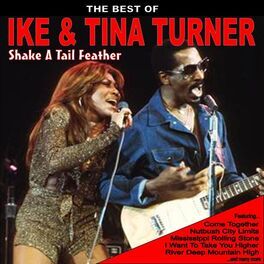 Artist picture of Ike and Tina Turner