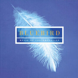 Album cover of Bluebird - Music Of Contemplation
