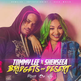 Album cover of Bridgets & Desert