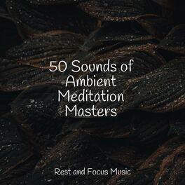 Album cover of 50 Sounds of Ambient Meditation Masters