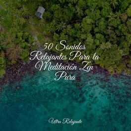 Album cover of 50 Sonidos Relajantes Para la Meditación Zen Pura