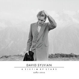 Album cover of A Victim Of Stars 1982-2012