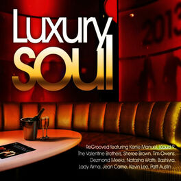 Album cover of Luxury soul 2013
