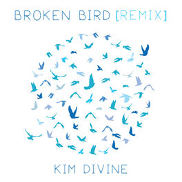 Album cover of Broken Bird (Klvr Grl Remix)