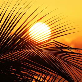 Album cover of Sol (feat. Rodriggo Júnior)