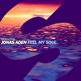 Album cover of Feel My Soul