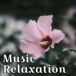Album cover of Music Relaxation