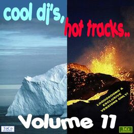 Album cover of Cool dj's, hot tracks - vol. 11
