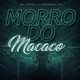 Album cover of Morro do Macaco