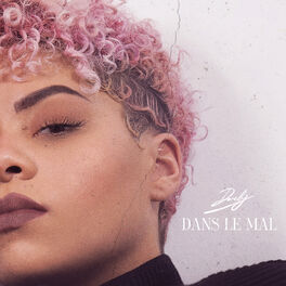 Album cover of Dans le mal