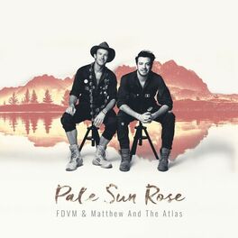 Album cover of Pale Sun Rose