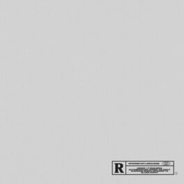 Album cover of Internetgf/Limousine