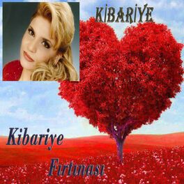 Album cover of Kibariye Fırtınası