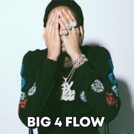 Album cover of BIG 4 Flow (feat. Stunna 4 Vegas)