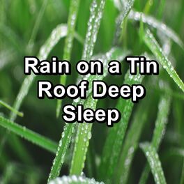 Album cover of Rain on a Tin Roof Deep Sleep