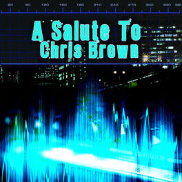 Album cover of A Salute To Chris Brown