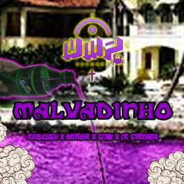 Album cover of Malvadinho