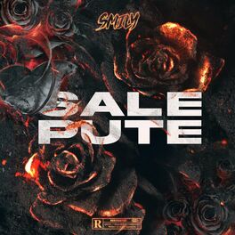Album cover of Sale pute