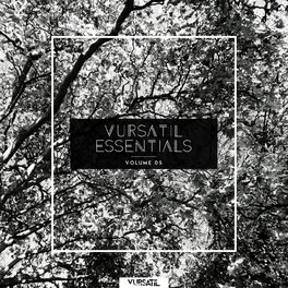 Album cover of Vursatil Essentials 05