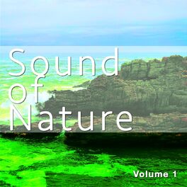 Album cover of Sound of Nature, Vol. 1 (Pure Chill out & Meditation Grooves)