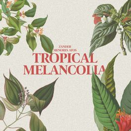 Album cover of Tropical Melancolia