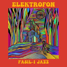 Album cover of Elektrofon