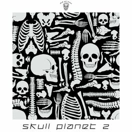 Album cover of Skull Planet 2