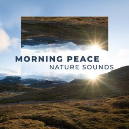 Album cover of Morning Peace: Relaxing Nature Sounds, Healing Waters, Ocean Waves, Wilderness Stream, Birds Singing