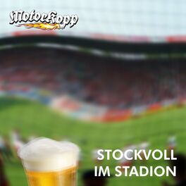 Album cover of Stockvoll im Stadion