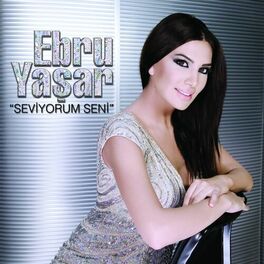 Album cover of Seviyorum Seni