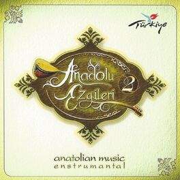Album cover of Anadolu Ezgileri, Vol. 2