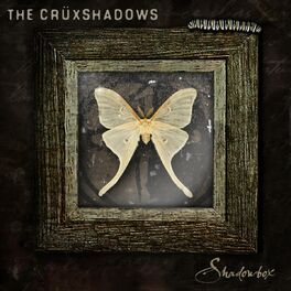 Album cover of Shadowbox EP