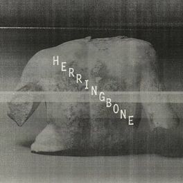 Album cover of Herringbone
