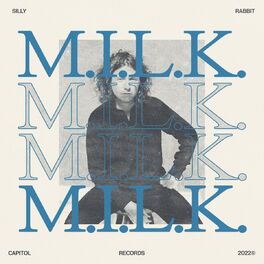 Album cover of Silly Rabbit