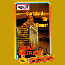 Album cover of Şarkılardan Bir Demet