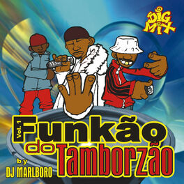 Album cover of Funkão Do Tamborzão