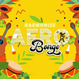 Album cover of Afro Bongo