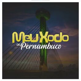 Album cover of Banda Meu Xodó De Pernambuco, Vol. 01