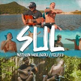Album cover of Sul