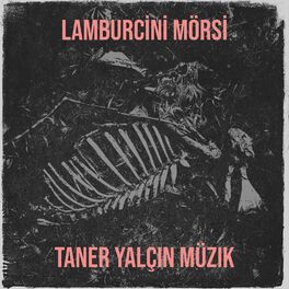 Album cover of Lamburcini Mörsi