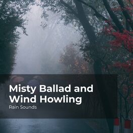 Album cover of Misty Ballad and Wind Howling