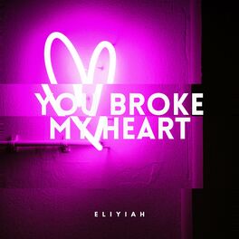 Album cover of You Broke My Heart