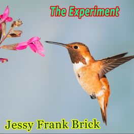 Album cover of The Experiment