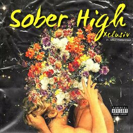 Album cover of Sober High