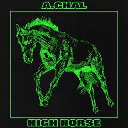 Album cover of High Horse