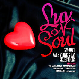 Album cover of Luv-n-Soul - Smooth Valentine's Day Selections