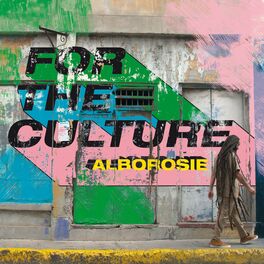 Album cover of For The Culture