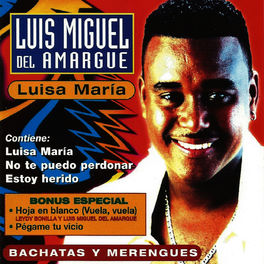 Album cover of Bachatas y Merengues