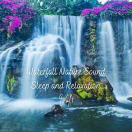 Album cover of Waterfall Nature Sound Sleep and Relaxation Vol. 1