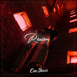 Album cover of Reason (Remix)